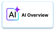 AI Overview